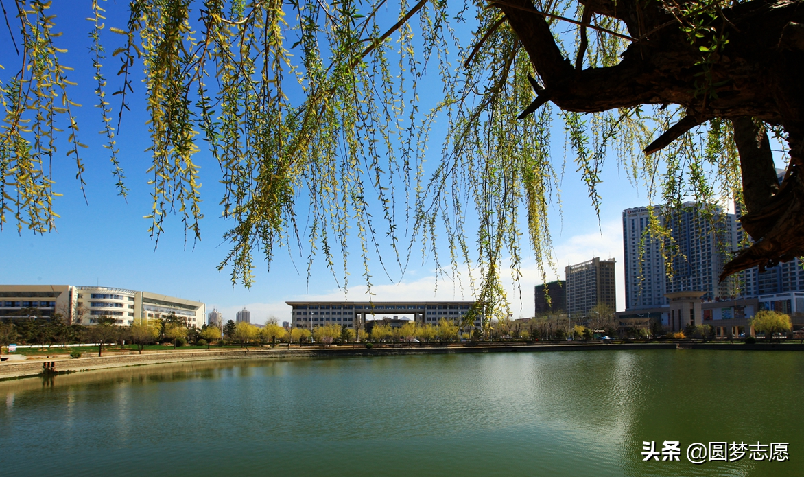 被评价为“没落的985大学”，山东大学实力到底如何？