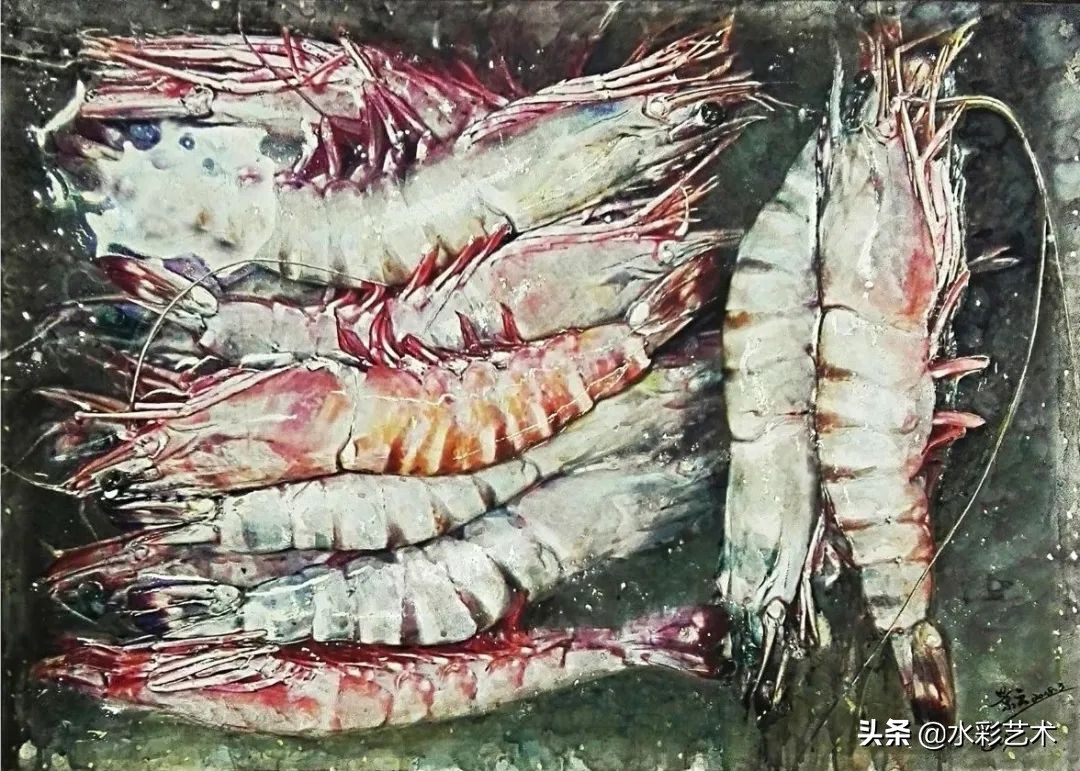 世界杯伊朗玫瑰水彩画(中国•国际水彩画家联盟 国际水彩画友联展④精选版)