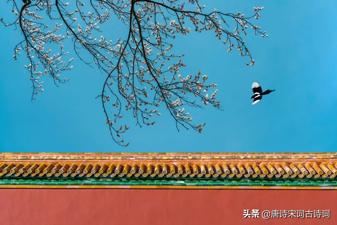 暮春来，初夏到！20首暮春诗词，告别最美春天