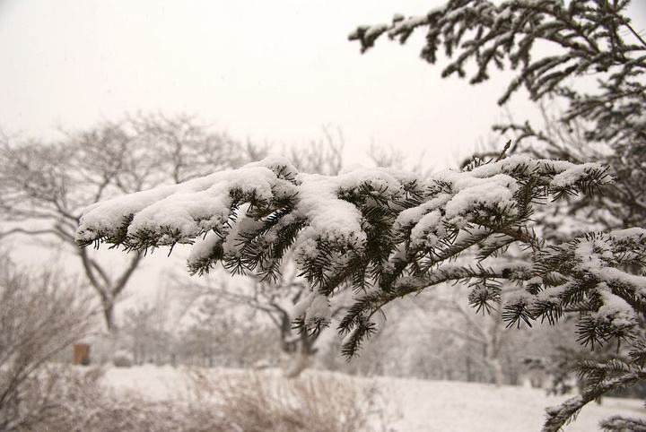 文言文‖《咏雪 / 咏雪联句》原文及译文