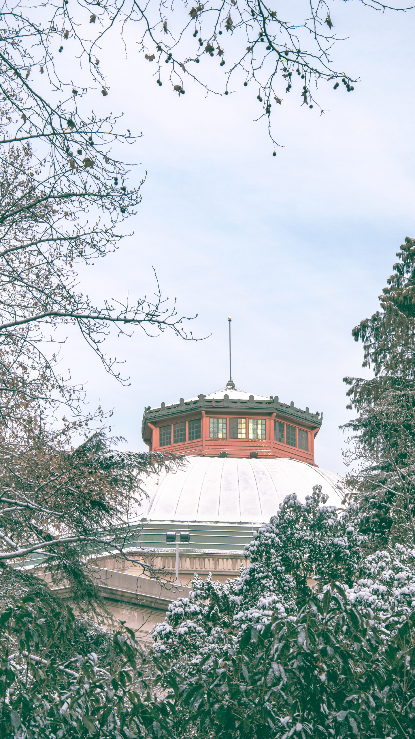 东南大学：我不是“福建大三本”