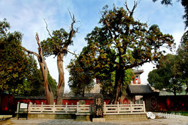 泰山脚下的千年寺庙，与故宫齐名，历代帝王封禅之地