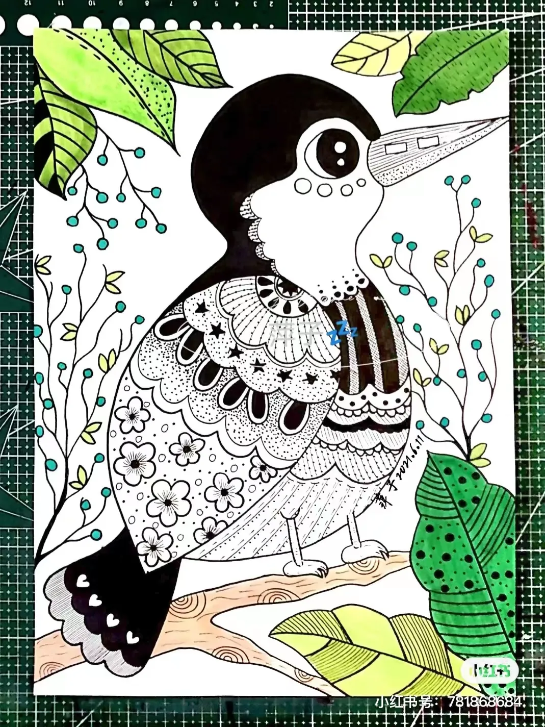 花草创意线描装饰写生范本,画完它们你的手从此再也不是爪子