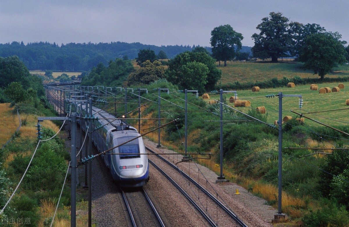 有机蔬菜比普通的更有营养？自家种植蔬菜一定比市面上的更安全？