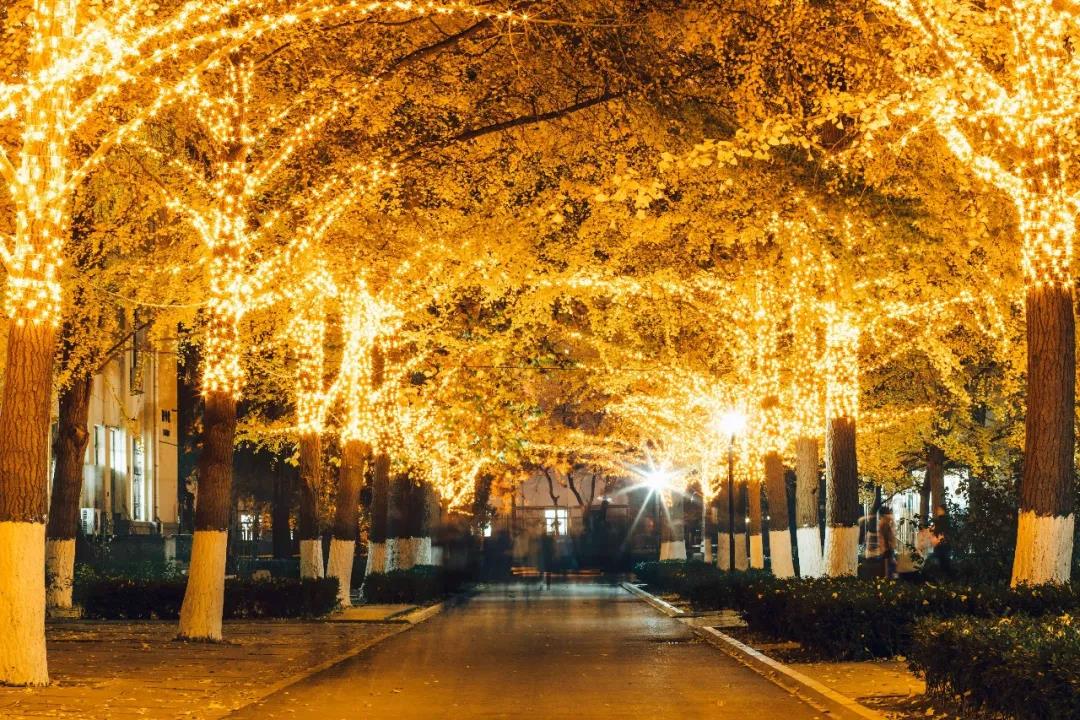 北京“花园式”大学：占地1000亩，3条地铁线直达，宿舍空调、无线网全覆盖！