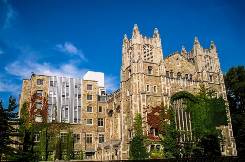 盘点｜20所美国顶尖法学院，法学生的缪斯