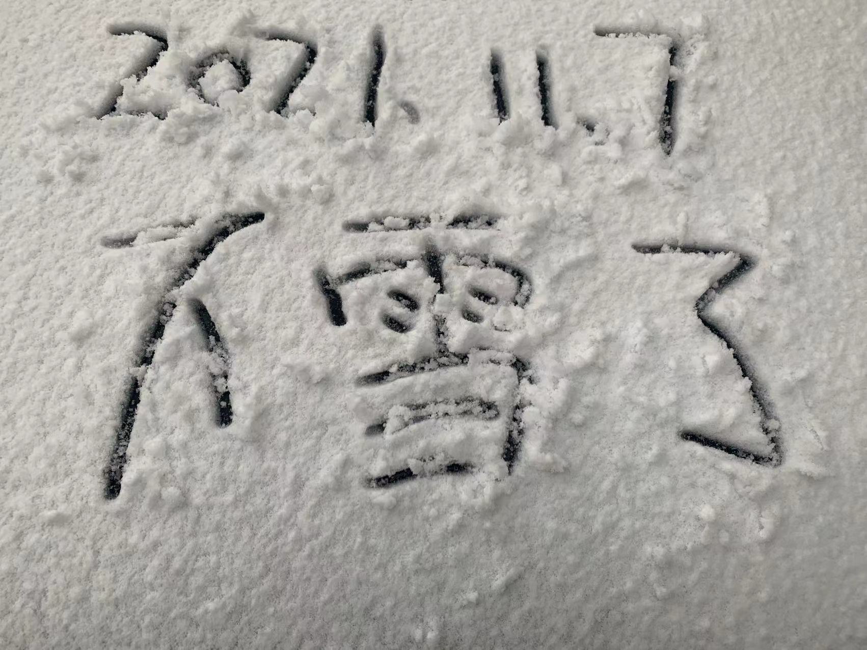 初雪来啦！山东网友纷纷晒出各地雪景，你们那里下雪了吗？