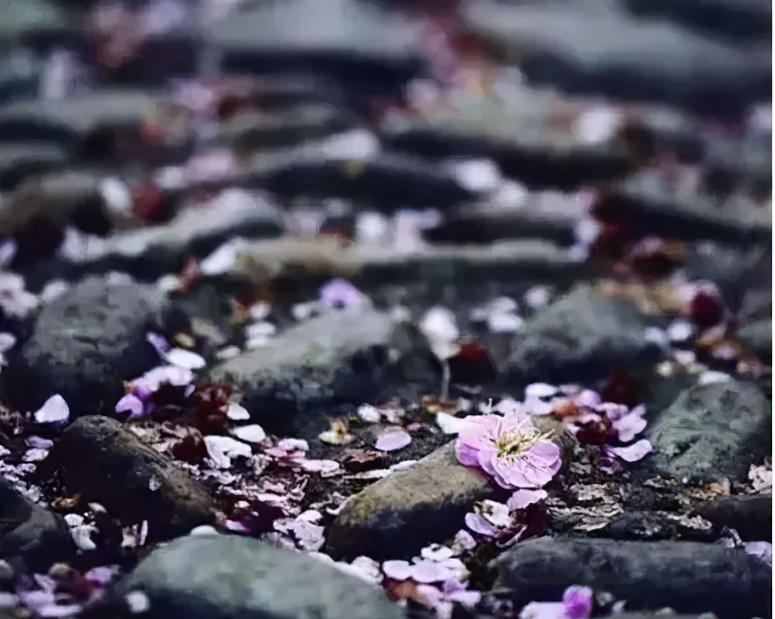 坚持到底的故事(为什么工资低还有人做)