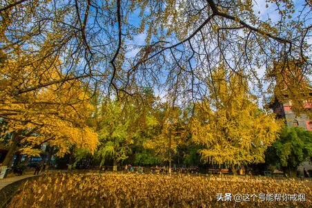 心如荷花天地宽，人生一笑岁月长；医海无涯必励钻，博采勤收受益