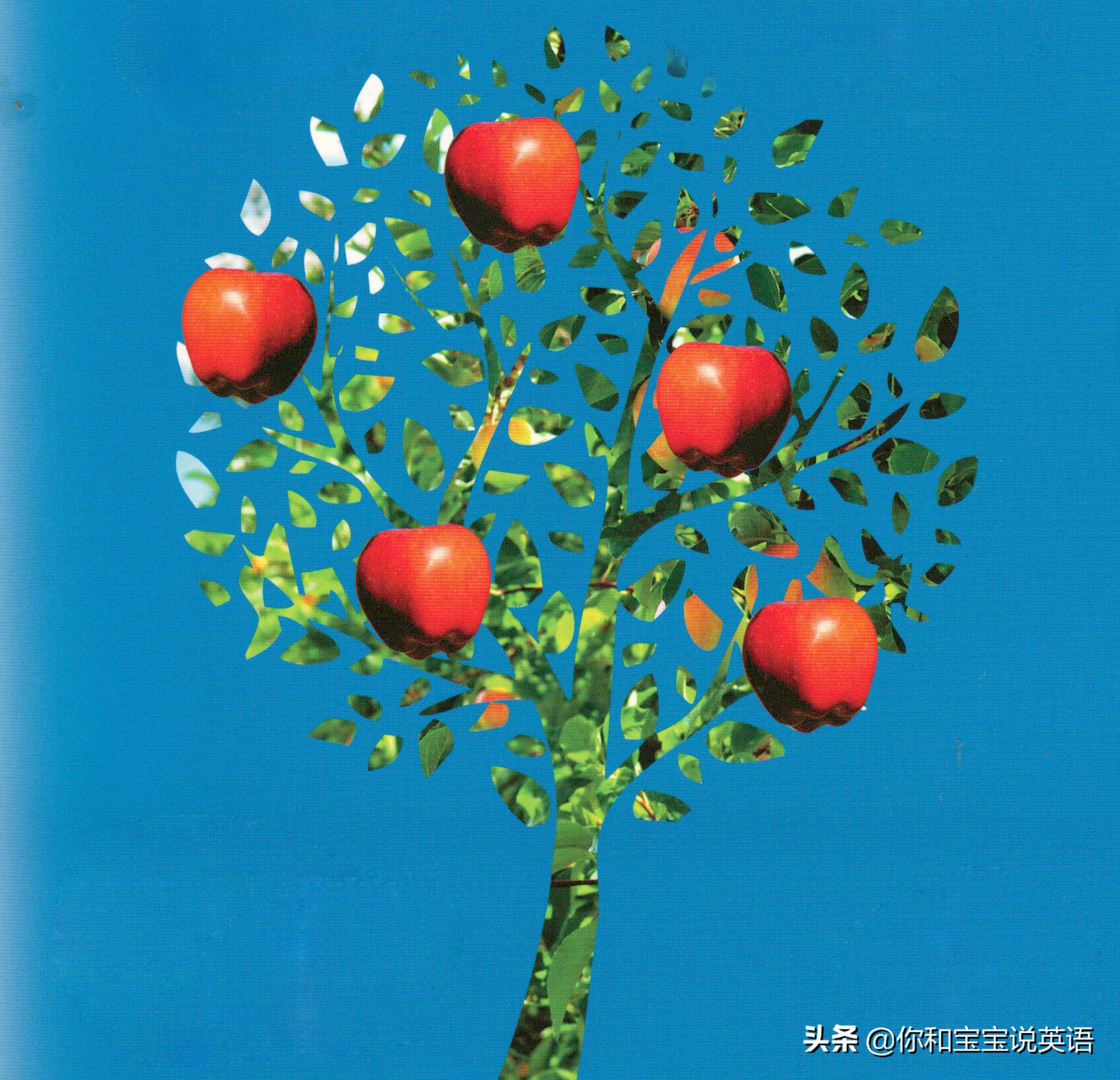 采摘亲子英文+科普—草莓蓝莓、萝卜白菜，谁长地上，谁长藤上？