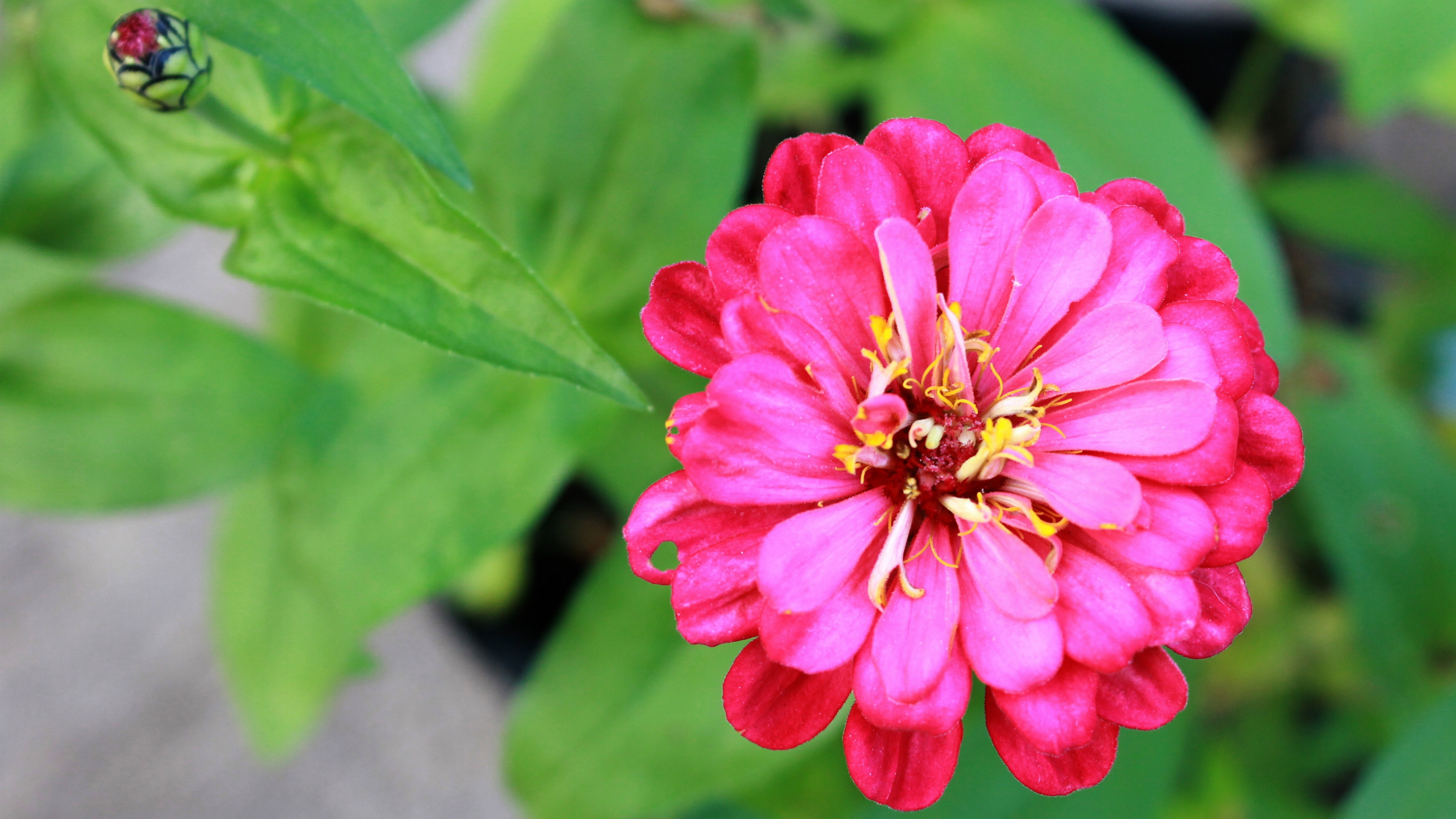 10月5日星座性格 10月5日的星座 十二星座 學習吧