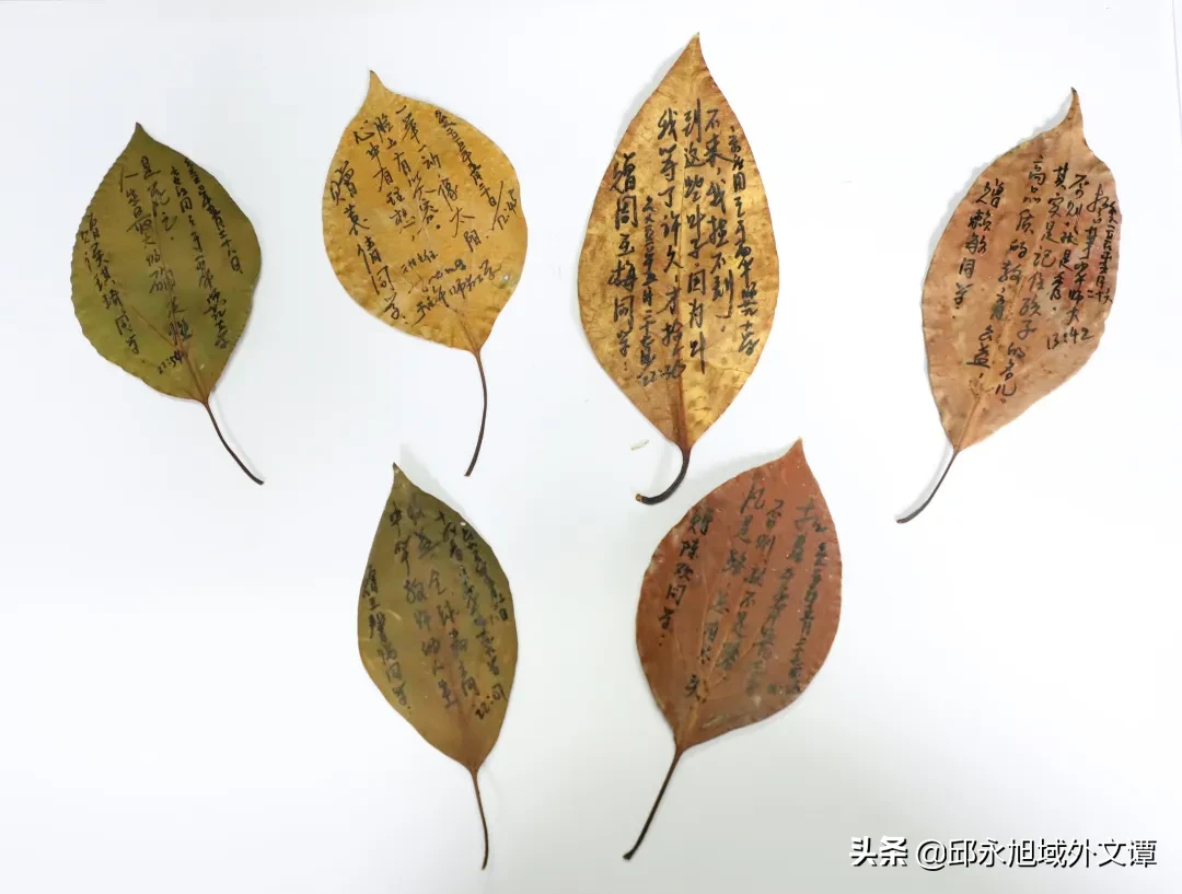 四川某高校班主任耗时2月自制357份毕业礼物，大学各有各的妖娆