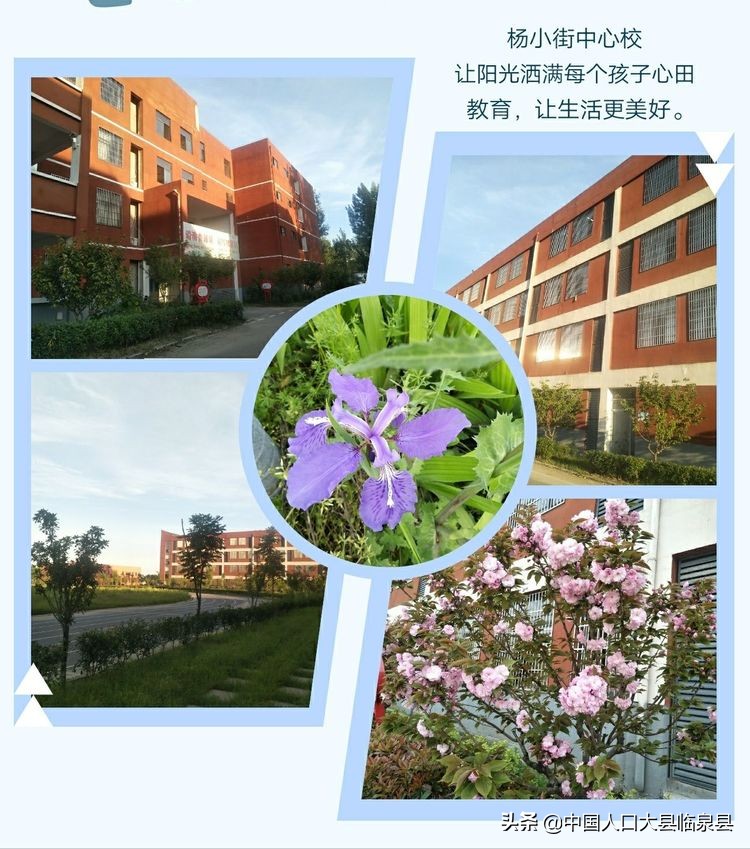 临泉县杨小街中心校2020中考喜报