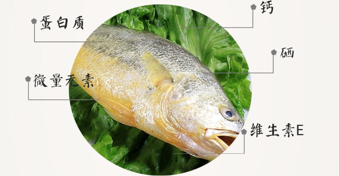野生大黃魚為什么這么貴,
