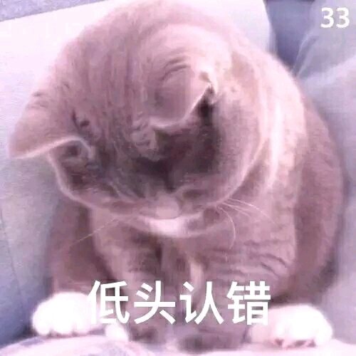 猫咪恋爱表情包｜发誓爱你一辈几