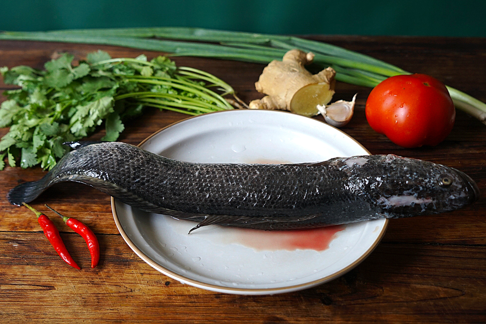 黑魚番茄湯