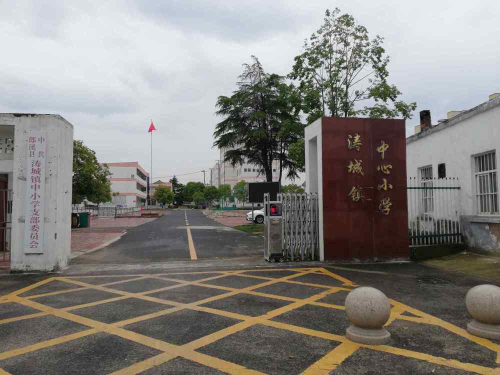 13 岁少年疑杀 10 岁堂妹，父母申请将他送少管所重新做人
