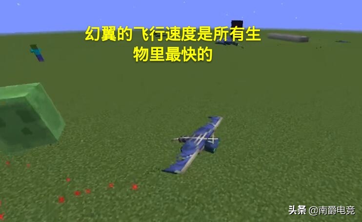我的世界：六种带有翅膀的生物，超过一千万玩家只见过其中5个！