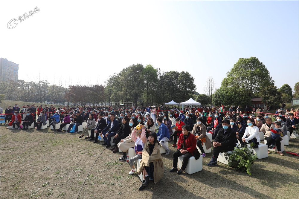 我和春天有个约会：草坪音乐会，声声入耳入心