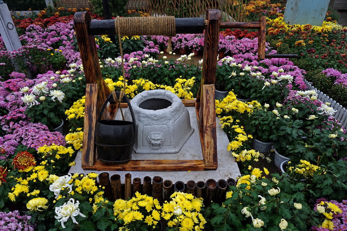 2011北京高考听力真题（33）