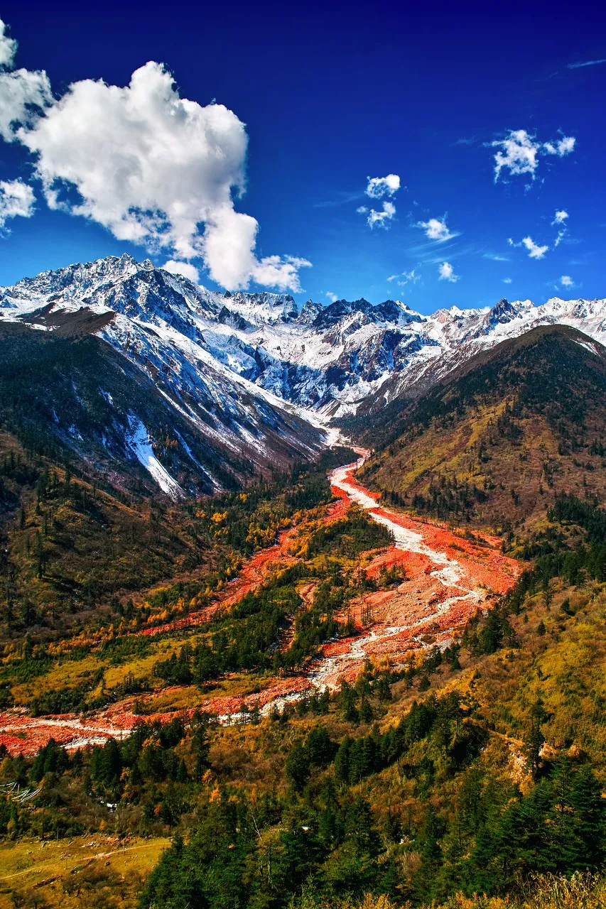 沿途皆如天堂!这10条深秋路线,去过一半就邂逅中国大半的美