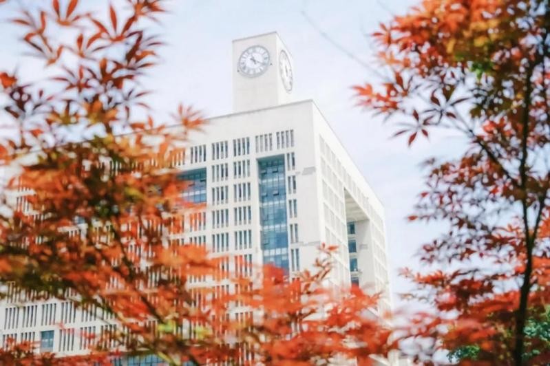 国家支持、人才缺口大！这些“热门”文科专业一定要了解！