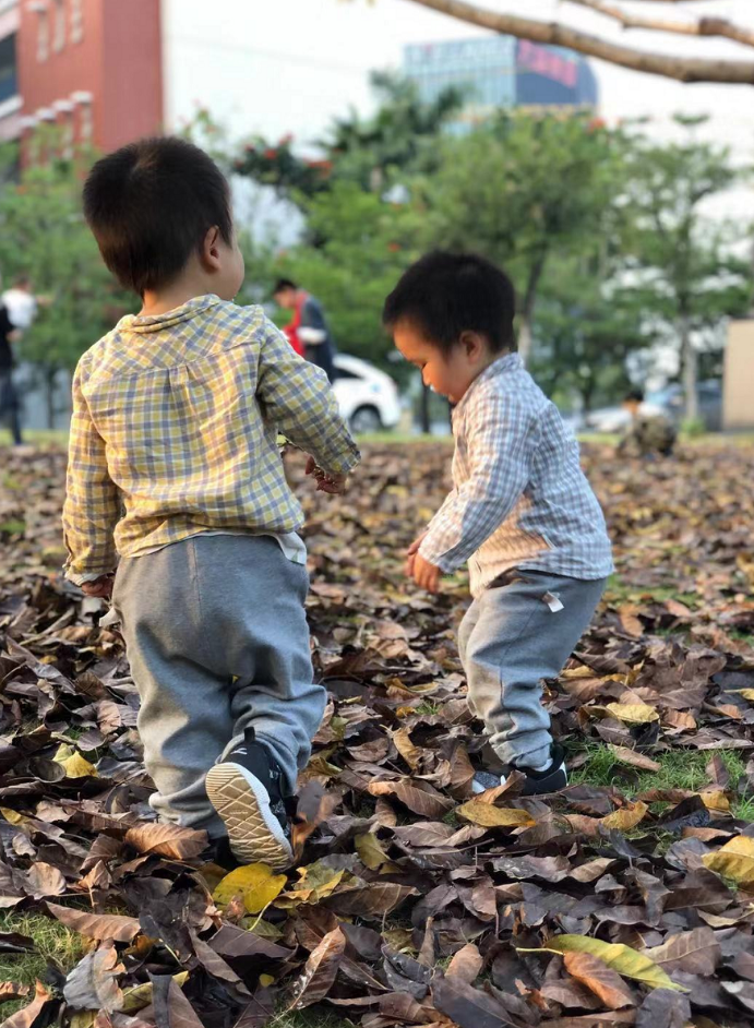 在哪里上大学可以去上市公司实习？平民生活角度看深圳-深圳大学