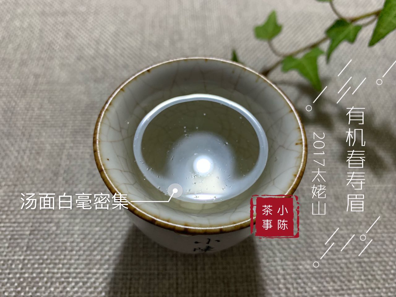 我在直播间买了50克老寿眉，仅花16.9元，不错吧？