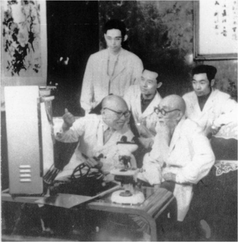 他活人济世，被誉为“国医圣手”，深受周总理信赖，却被世人遗忘