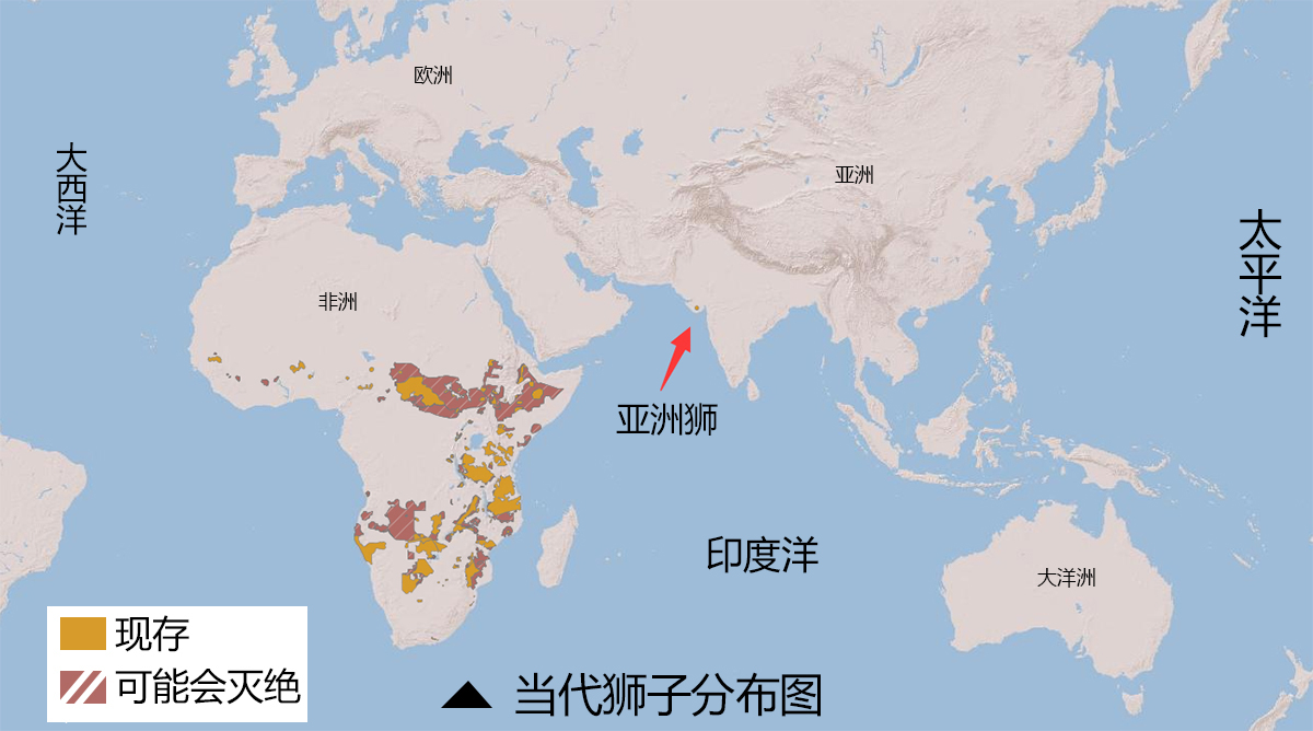 狮子会爬树吗,狮子能不能爬树上