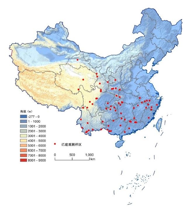 蒙古狼的生存现状（曾经遍布全国的狼在我国逐渐消失了）