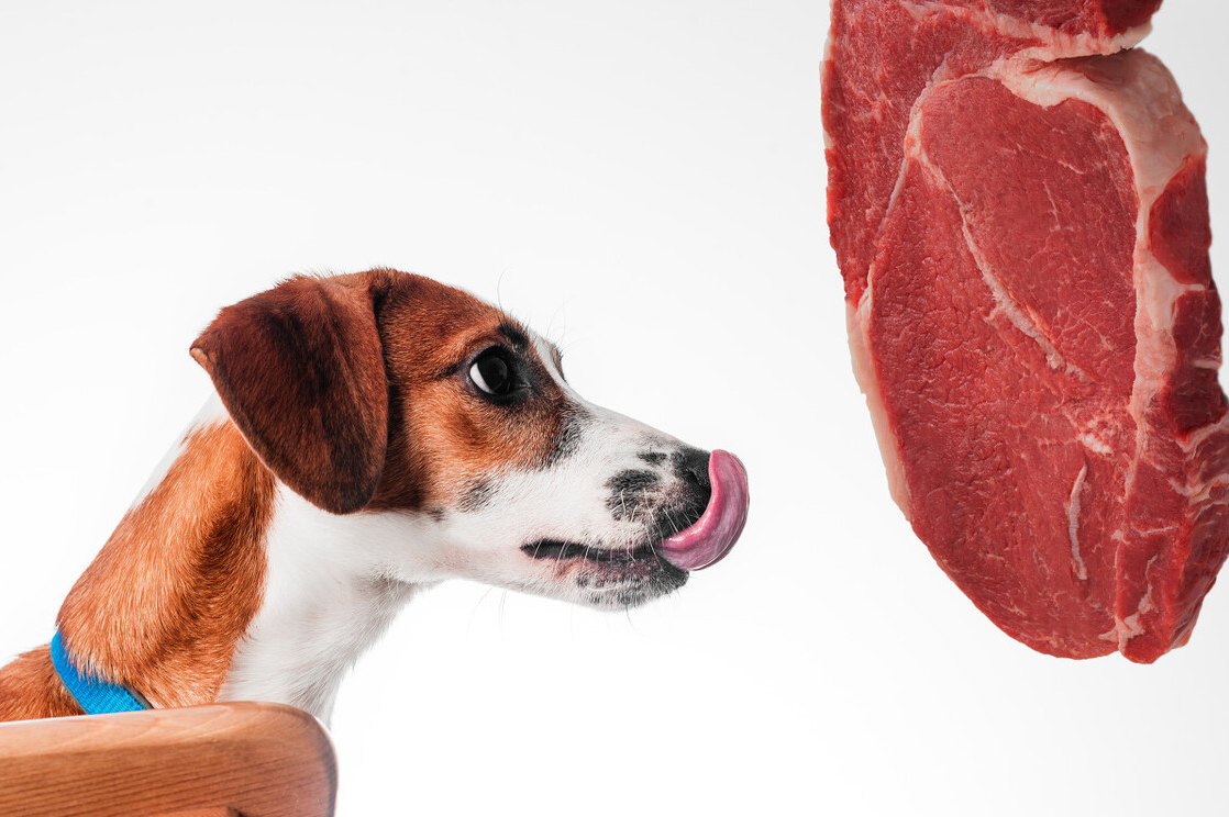 跳蚤咬了怎么止痒最快孕妇和小孩怎么止痒