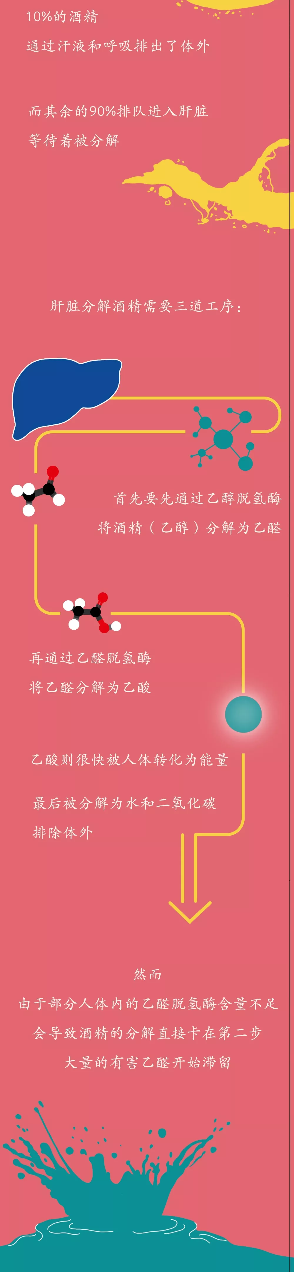 戒酒时，身体都是如何