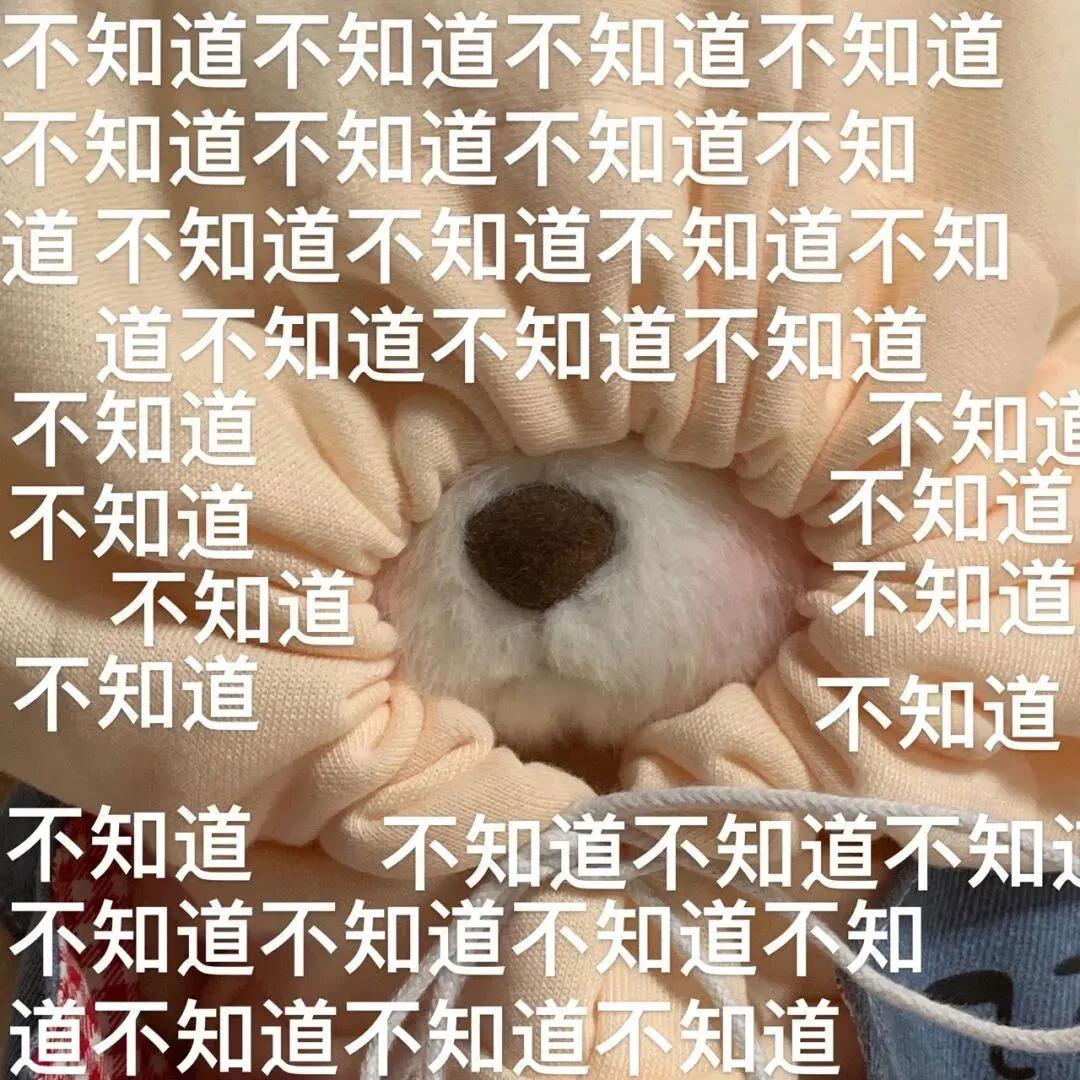 表情包：我和我的伙伴们都惊呆了  狗惊呆表情图片 