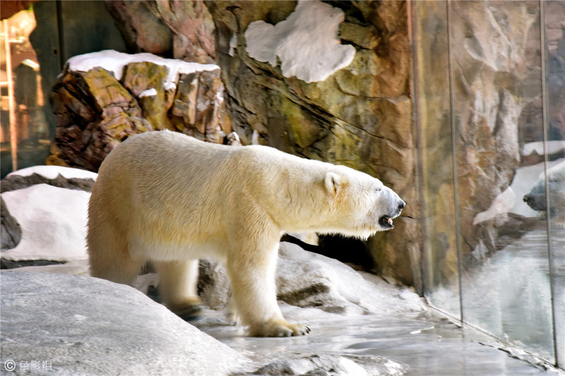 三天三夜欢乐长隆之旅（附攻略）