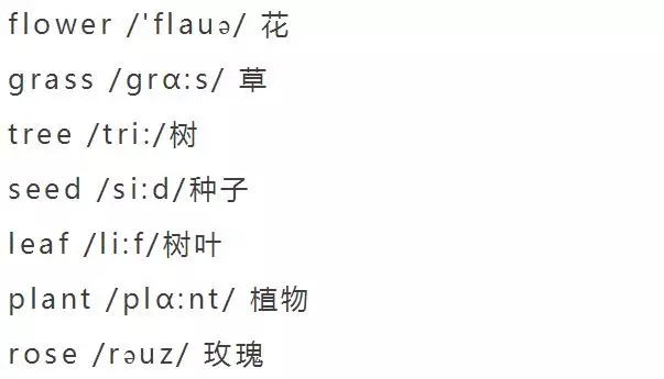 小学英语单词分类大全（附音标）