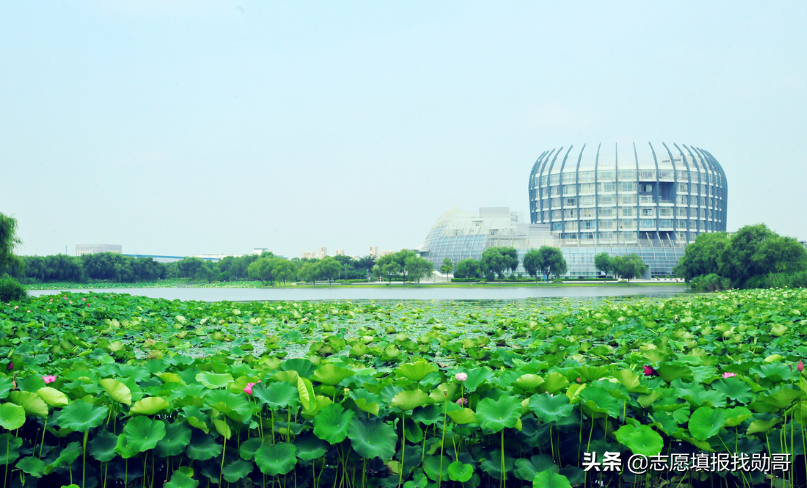 这所大学，是行业“黄埔军校”，却常被误认为民办！有的省可捡漏