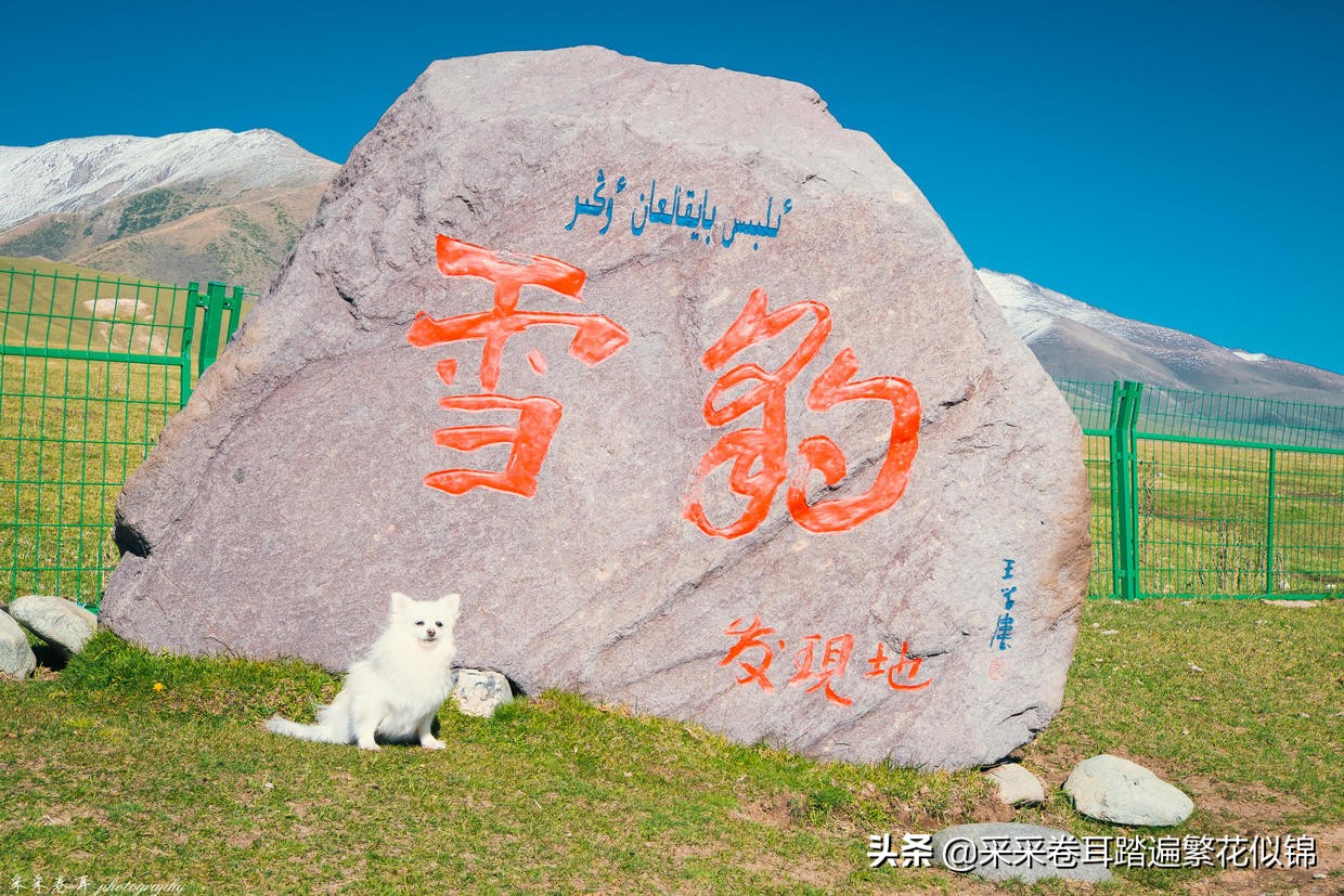 自驾新疆，夏秋伊犁怎么玩？快跟我云游发掘深度旅行小众目的地