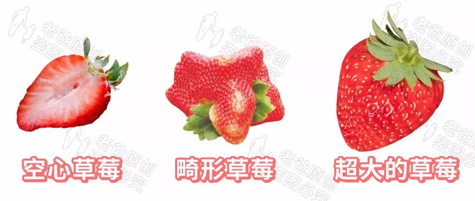 畸形草莓、空心草莓、超大个草莓，这样的草莓你敢吃吗？