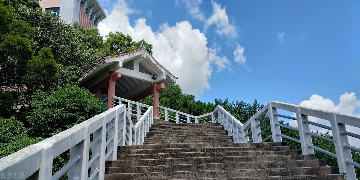 软科排名89位的福建师范大学招生哪些艺考生，录取分线是多少？