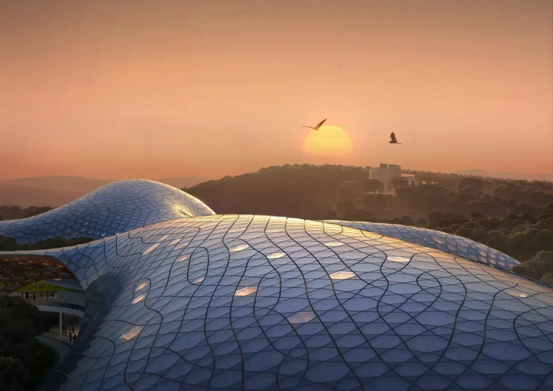 THAD清华大学建筑设计院中标国家植物博物馆