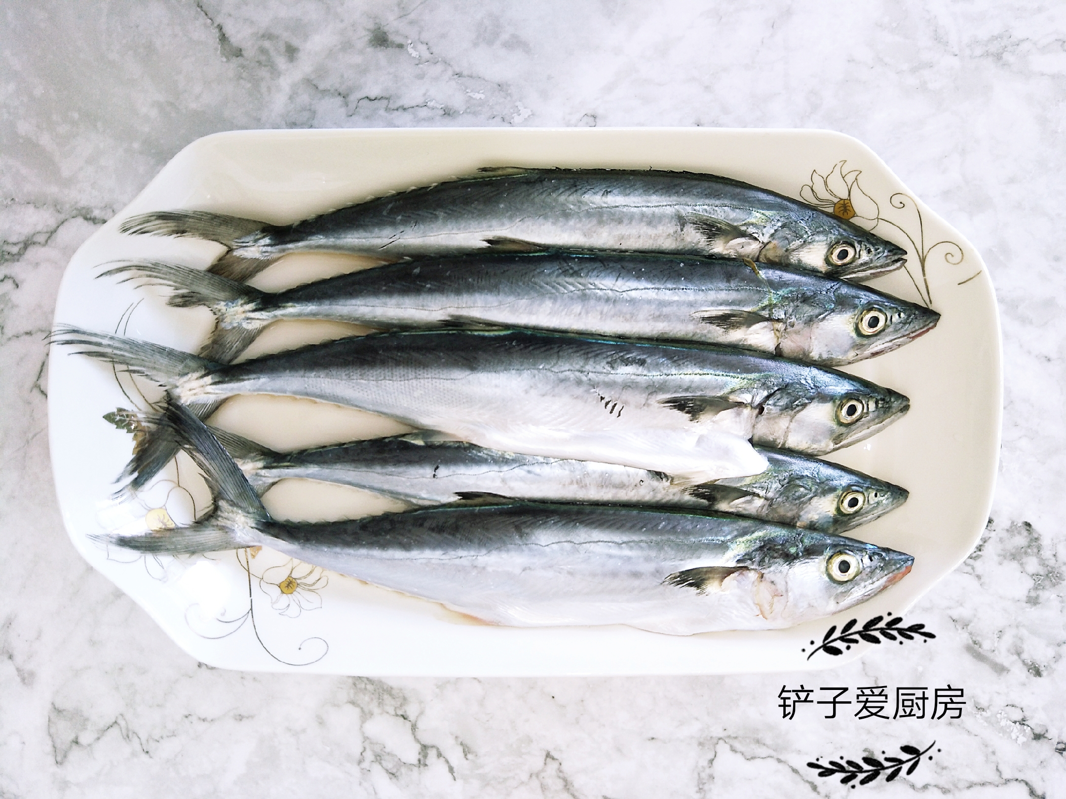 休渔期结束，秋鲅鱼上市，只要7元一斤，这样做肉质鲜美