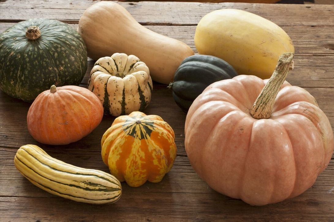 南瓜越老越好吃,挑选南瓜时,掌握3个小技巧,南瓜又甜又软糯