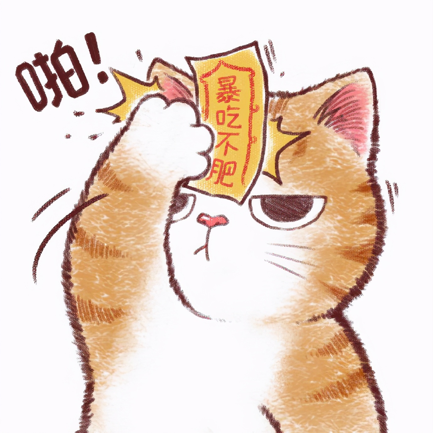 那么开始就由这只可爱的小橘猫为大家献上"暴吃不肥"的祈福符咒吧