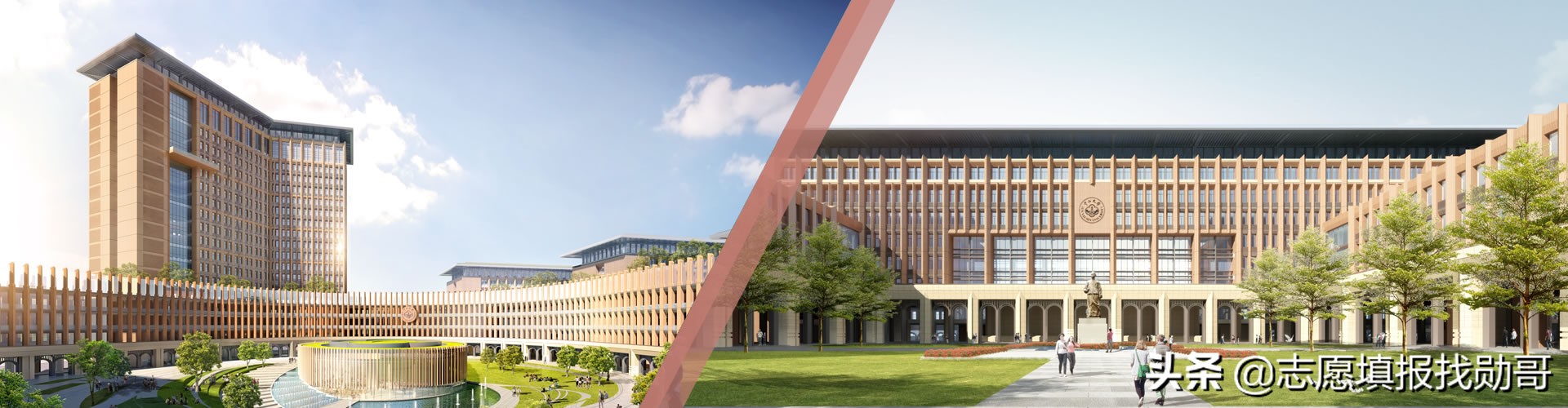 大学新校区“东南飞”成趋势，泄露了哪些秘密？