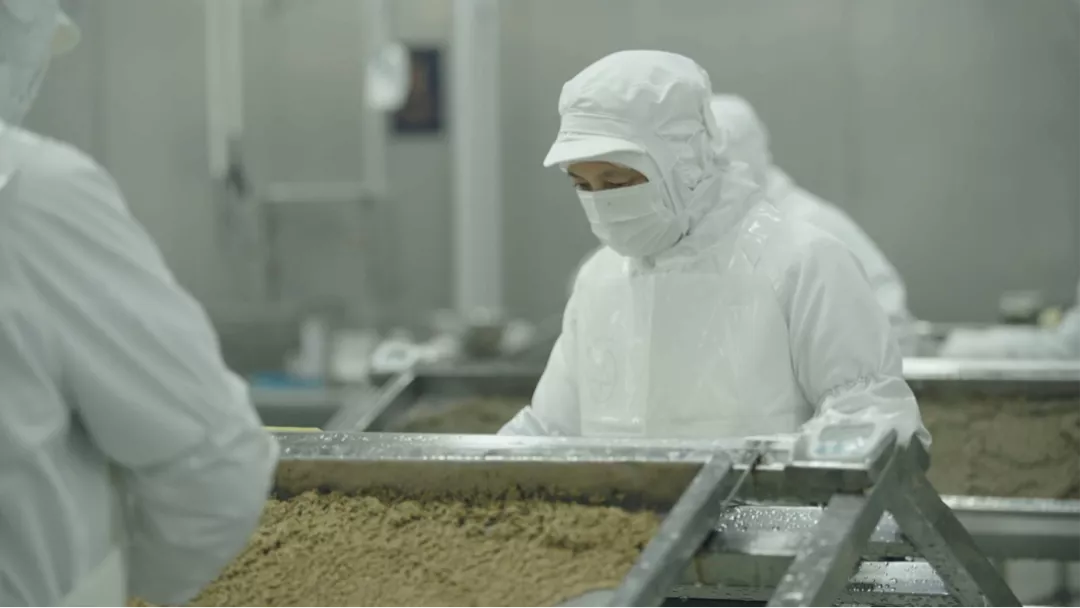 《上新吧!山川湖海》开播 世界美食走近「寻常百姓」