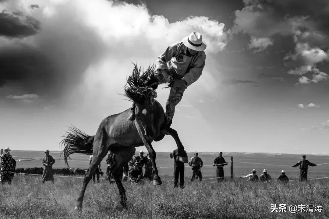 纪实摄影：和平：草原育神骏 牧人驯烈马