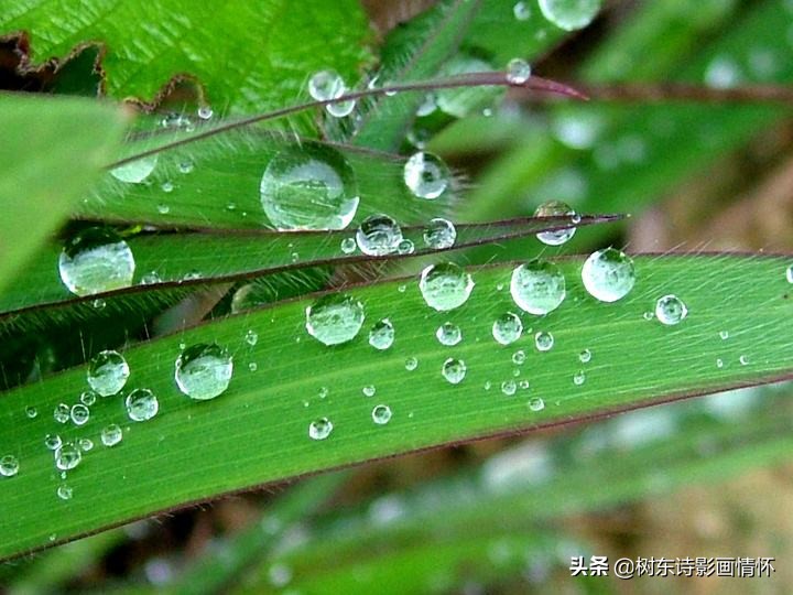 春风春雨春笋春心