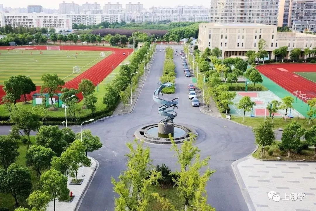 开了挂的闵行教育有多强！协和、世外等品牌建校，名校都想抢生源