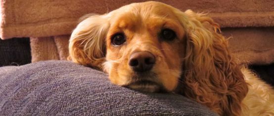 这场“凶杀案”，看过的爸妈都哭了，你家孩子还好么？